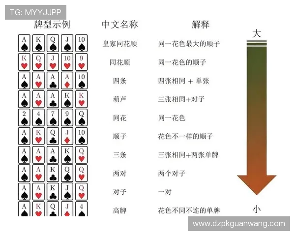 德州扑克规则学习指南：从规则到实战的完整操作流程解析